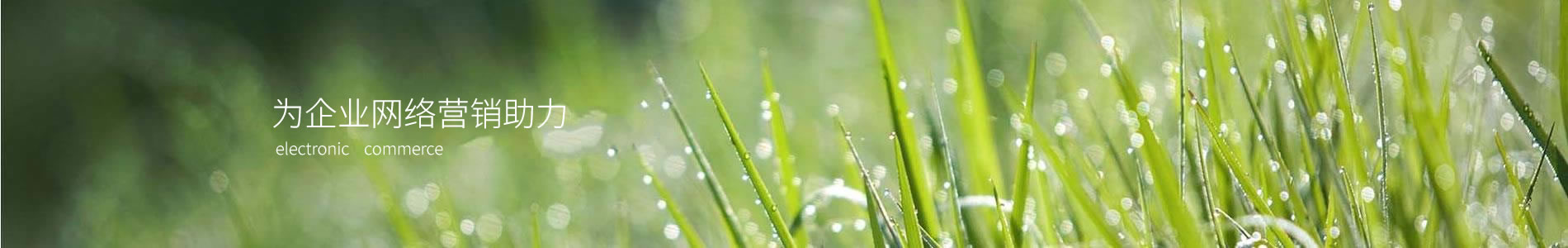 ӱԶҵ޹˾